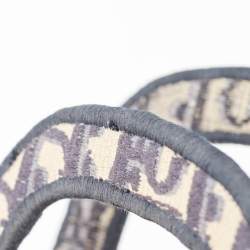 Pre Owned Dior Navy Blue Oblique Canvas Mini Book Tote