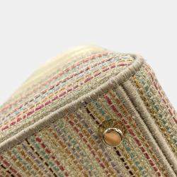 Dior Beige/Multicolor Canvas Lady D-Lite Medium Bag