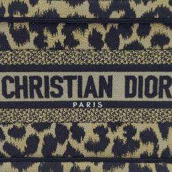 Christian Dior Book Mini Tote Bag