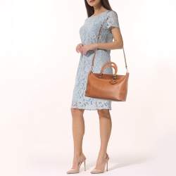 Pre Owned Dior Brown Leather Diorissimo Zip Shopper Tote