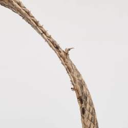 Pre Owned Dior Gold/Beige Python Large Lady Dior Tote