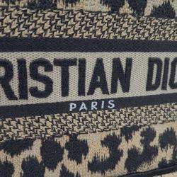 Christian Dior Mini Book Tote Bag