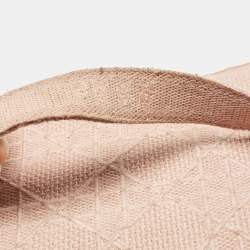 Pre Owned Dior Light Pink Canvas D Lite Vanity Case Bag