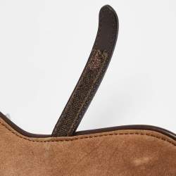 Pre Owned Dior Brown Embroidered Suede and Leather Limited Edition 0167 Embellished Saddle Bag