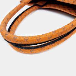 مملوكة مسبقًا Christian Dior Book Tote Bag 36