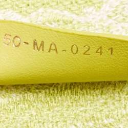 Pre Owned Dior Green/White Embroidered Canvas Medium Toile De Jouy Book Tote