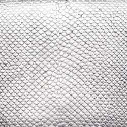 Pre Owned Dior Metallic Grey Lizard Lady Dior Long Chain Clutch