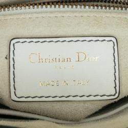 Dior Niki de Saint Phalle Mini Calfskin Lady Dior