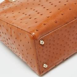 Pre Owned Dior Orange Ostrich Leather Large Lady Dior Tote