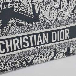 Christian Dior Dioliviera Travel Nomad Medium Pouch