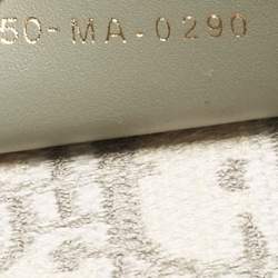 Dior Grey Oblique Embroidered Canvas Medium Book Tote