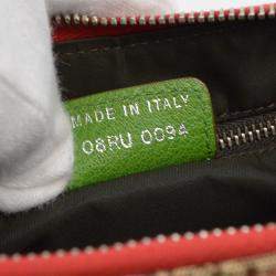 Christian Dior Rasta Trotter Saddle Shoulder Bag