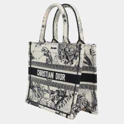 Christian Dior Book Tote Bag