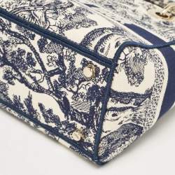Pre Owned Dior Blue/Blue Embroidered Canvas Medium Toile de Jouy Lady D-Lite Tote