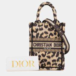 Dior Mini Canvas Mizza Vertical Book Tote