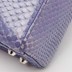 Pre Owned Dior Blue Python Mini Lady Dior Tote