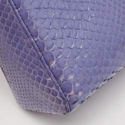 Pre Owned Dior Blue Python Mini Lady Dior Tote