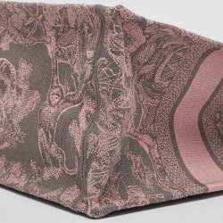 Pre Owned حقيبة يد للكتب ديور ميدل إيست كبسول قماش قزحي اللون صغيرة