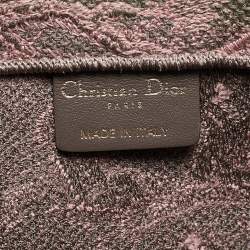 Pre Owned حقيبة يد للكتب ديور ميدل إيست كبسول قماش قزحي اللون صغيرة