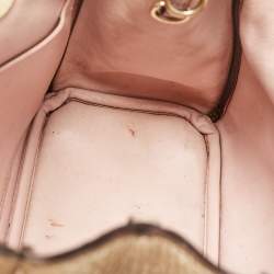 Pre Owned Dior Gold Leather Mini Diorissimo Tote