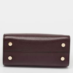 Pre Owned Dior Burgundy Leather Mini Diorever Tote