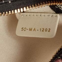 Pre Owned Dior Multicolor Floral Embroidered Canvas Medium Lady D-Lite Tote