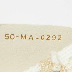 Dior Beige/Gold Rêve d'Infini Embroidery Canvas Small D-Bubble Bucket Bag