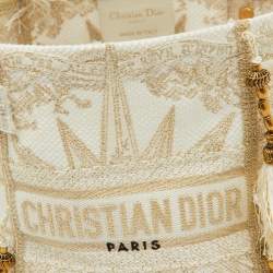 Dior Beige/Gold Rêve d'Infini Embroidery Canvas Small D-Bubble Bucket Bag