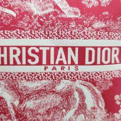 Dior Red Canvas Travel Multifunctional Pouch
