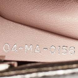Dior Metallic Multicolor Karung Mini Lady Dior Tote