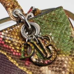 Dior Multicolor Python Mini Diorissimo Tote