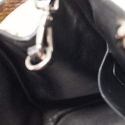 Dior Multicolor Python Mini Diorissimo Tote