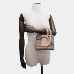 Dior Multicolor Leather Lady Dior Shoulder Bag