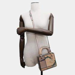 Dior Multicolor Leather Lady Dior Shoulder Bag
