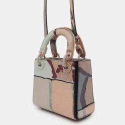 Dior Multicolor Leather Lady Dior Shoulder Bag