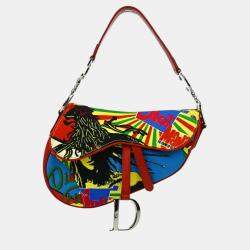 Christian Dior Multicolor Dior Mania Saddle Handbag