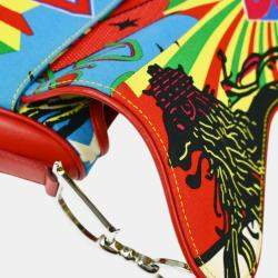 Christian Dior Multicolor Dior Mania Saddle Handbag