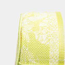 Dior Light Green Canvas Small Toile De Jouy Diortravel Vanity Case Shoulder Bag