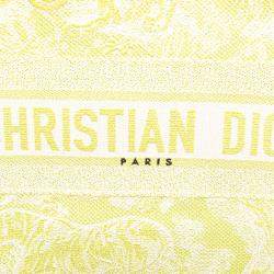 Dior Green Medium Canvas Embroidered Dioriviera Toile De Jouy Book Tote Bag
