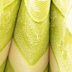 Dior Green Medium Canvas Embroidered Dioriviera Toile De Jouy Book Tote Bag