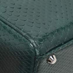 Pre Owned Dior Green Python Mini Lady Dior Chain Tote