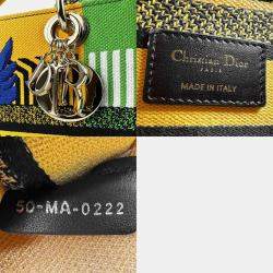 Dior Yellow Green Blue Canvas Lady D-Lite Shoulder Bag