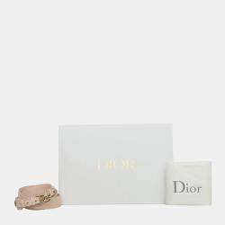 Dior Powder Pink Quilted Lambskin Leather Small Lady Dior Shoulder Bag