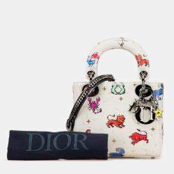 Dior White Calfskin Mini Pixel Zodiac Lady Dior