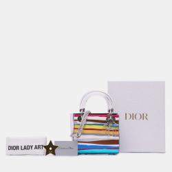 Dior Multicolor Wang Guangle Mini PVC Technical Fabric Lady Dior