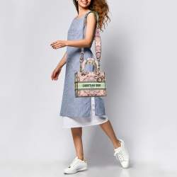 Dior Multicolor Embroidered Canvas Medium Lady D-Lite Tote