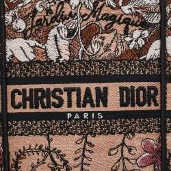 Pre Owned Dior Multicolor Embroidery Canvas Mini Toile De Jouy Book Tote Phone Bag