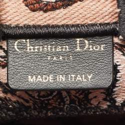 Pre Owned Dior Multicolor Embroidery Canvas Mini Toile De Jouy Book Tote Phone Bag