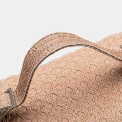 Dior Pink Mesh Embroidered Diortravel Vanity Case