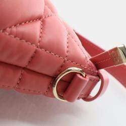 Dior Small Calfskin Nomad Pouch